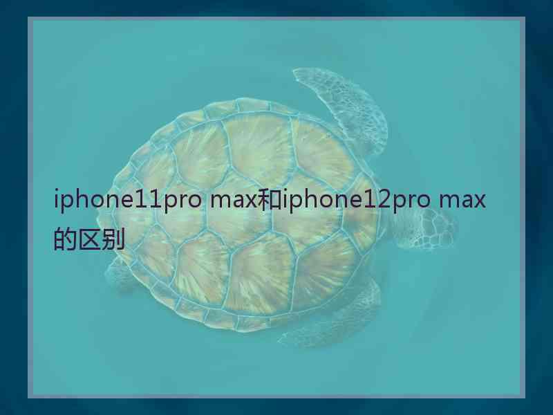 iphone11pro max和iphone12pro max的区别