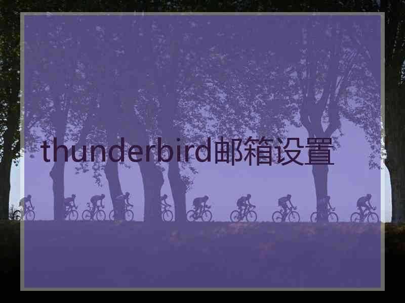 thunderbird邮箱设置