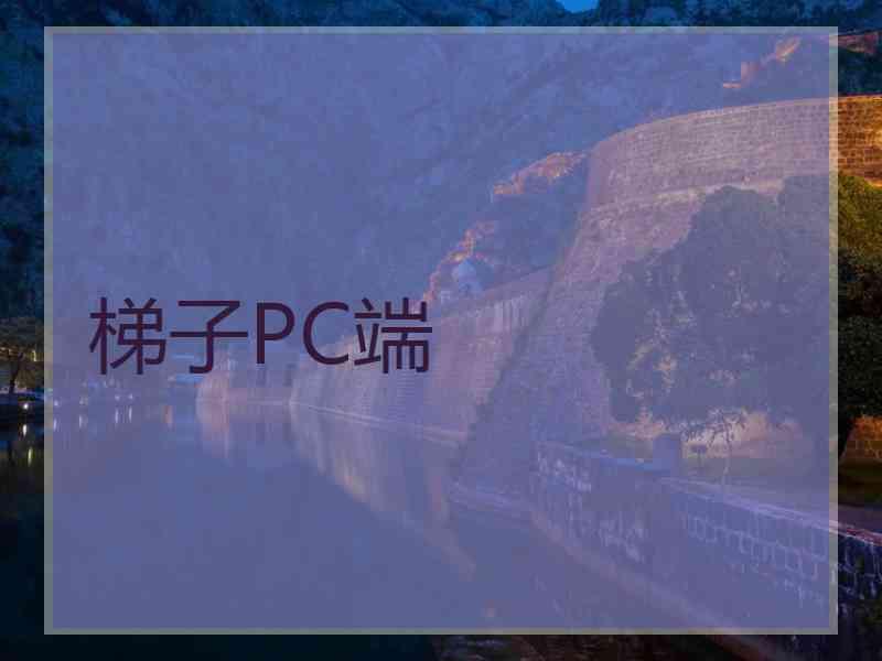 梯子PC端