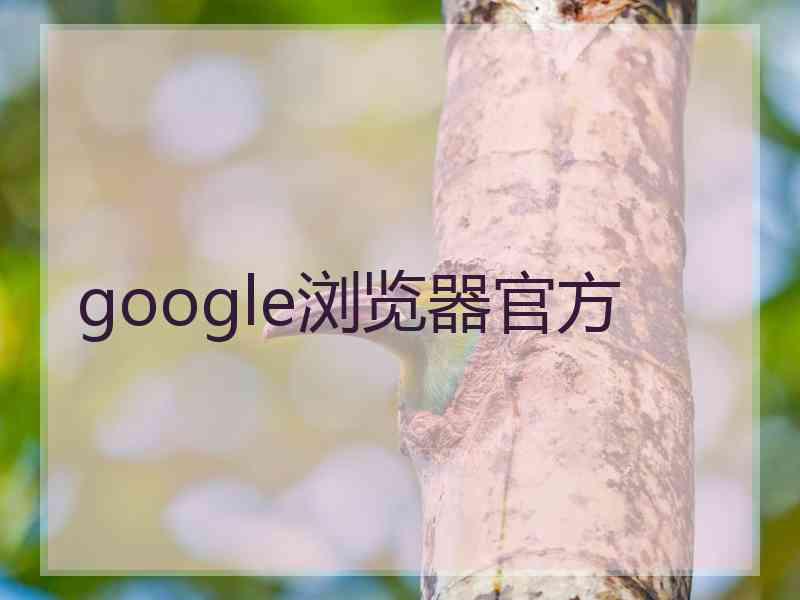 google浏览器官方