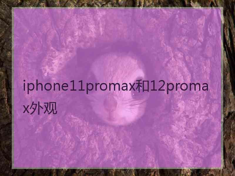 iphone11promax和12promax外观