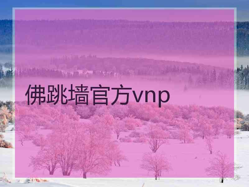 佛跳墙官方vnp