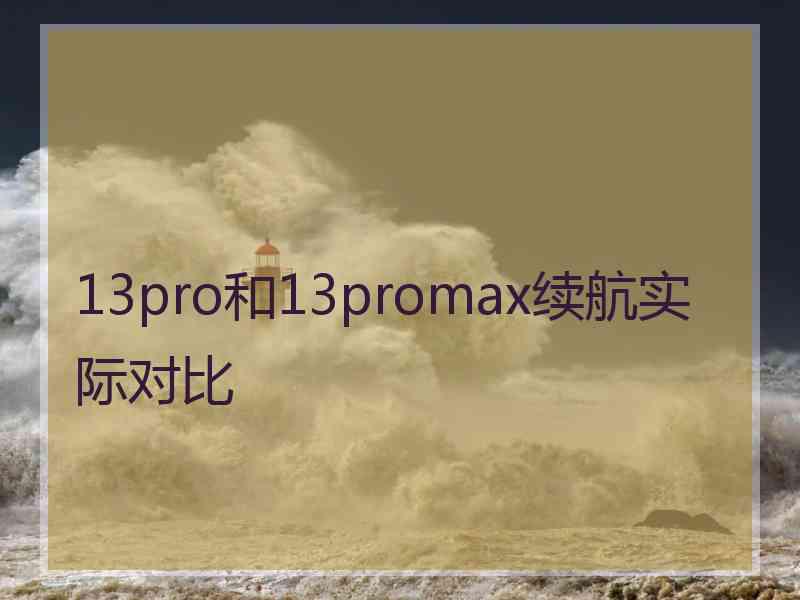 13pro和13promax续航实际对比