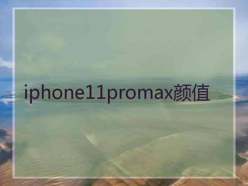 iphone11promax颜值