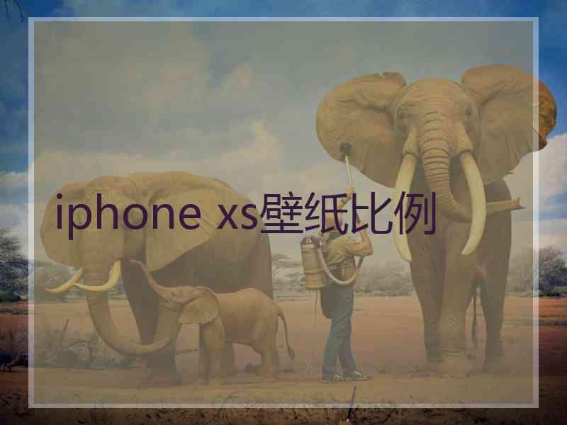 iphone xs壁纸比例