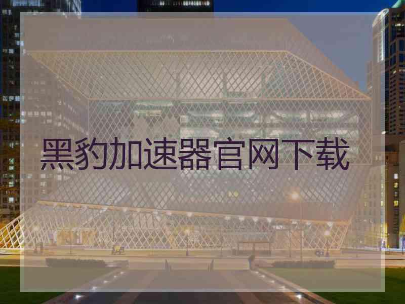 黑豹加速器官网下载