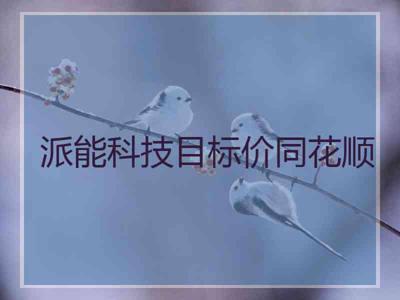 派能科技目标价同花顺