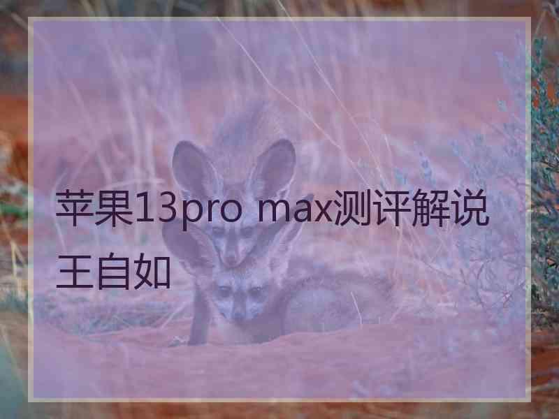 苹果13pro max测评解说王自如