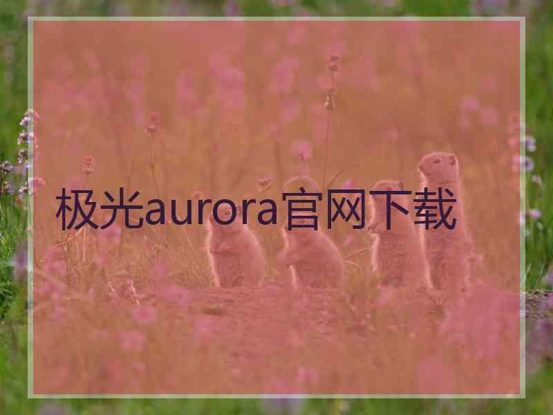 极光aurora官网下载