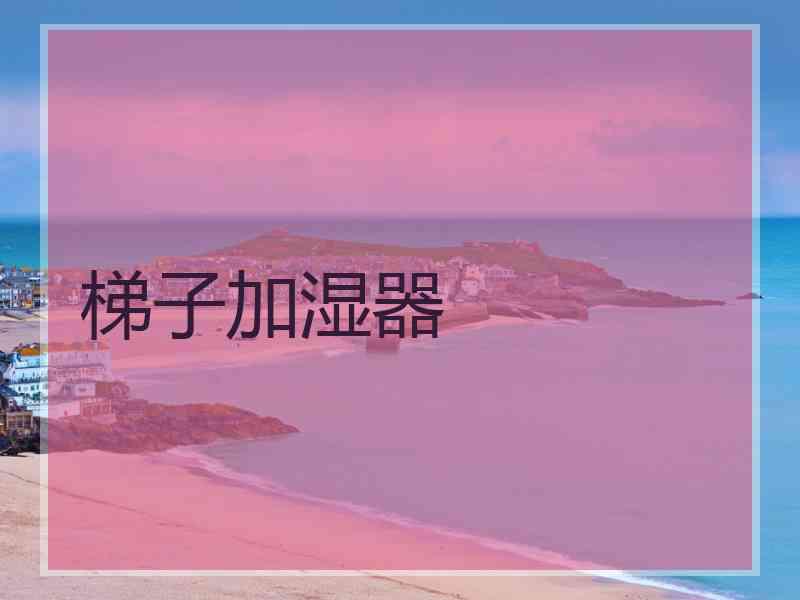 梯子加湿器