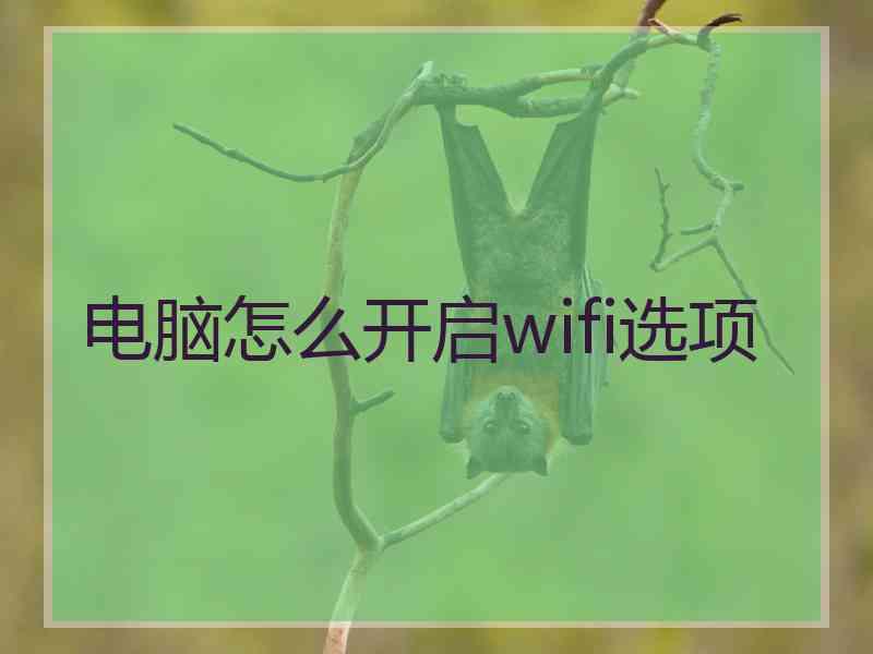 电脑怎么开启wifi选项