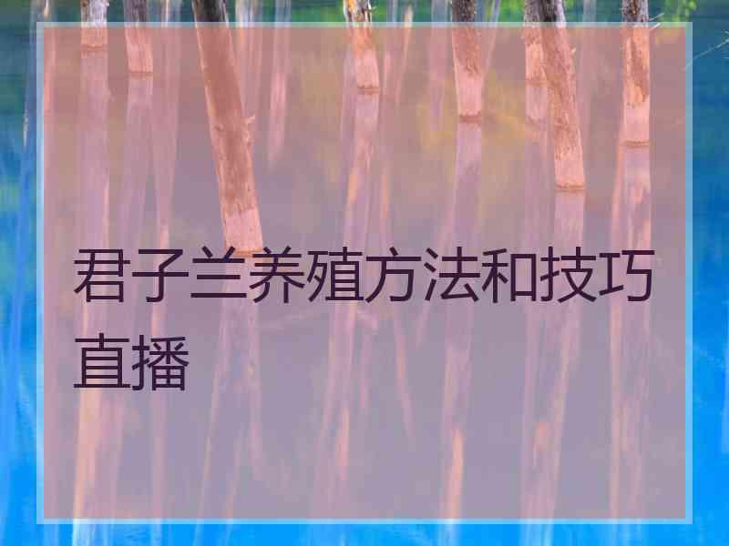 君子兰养殖方法和技巧直播