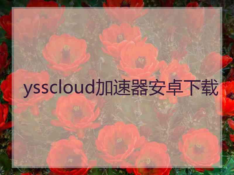 ysscloud加速器安卓下载