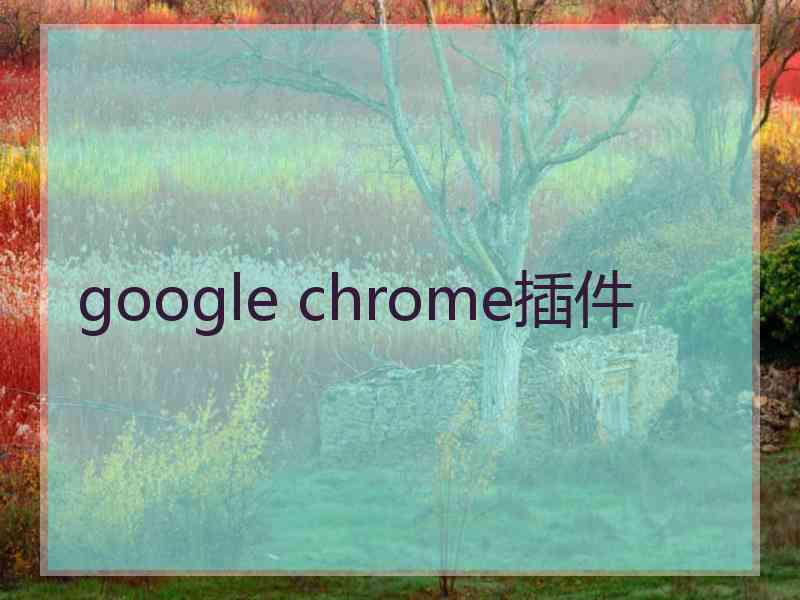 google chrome插件