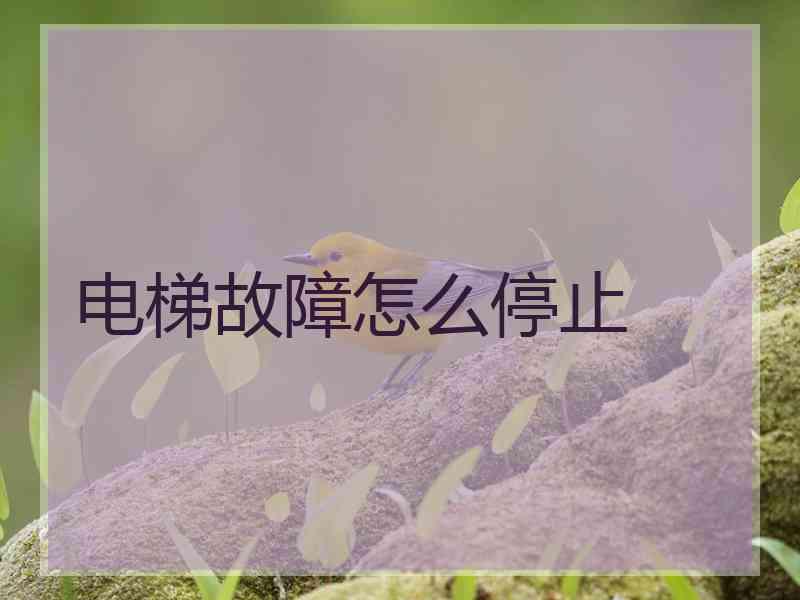 电梯故障怎么停止