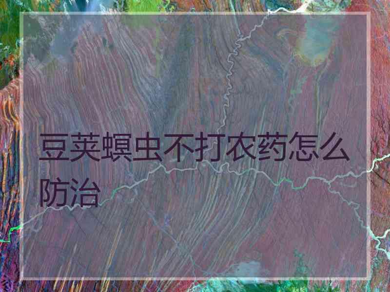 豆荚螟虫不打农药怎么防治