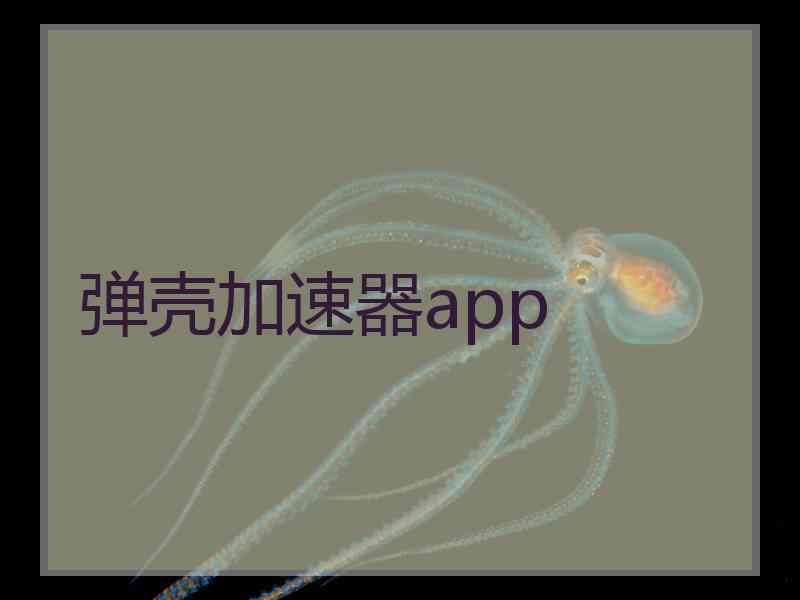 弹壳加速器app