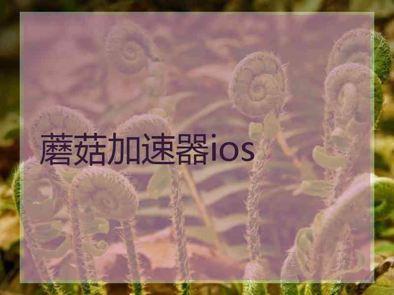 蘑菇加速器ios