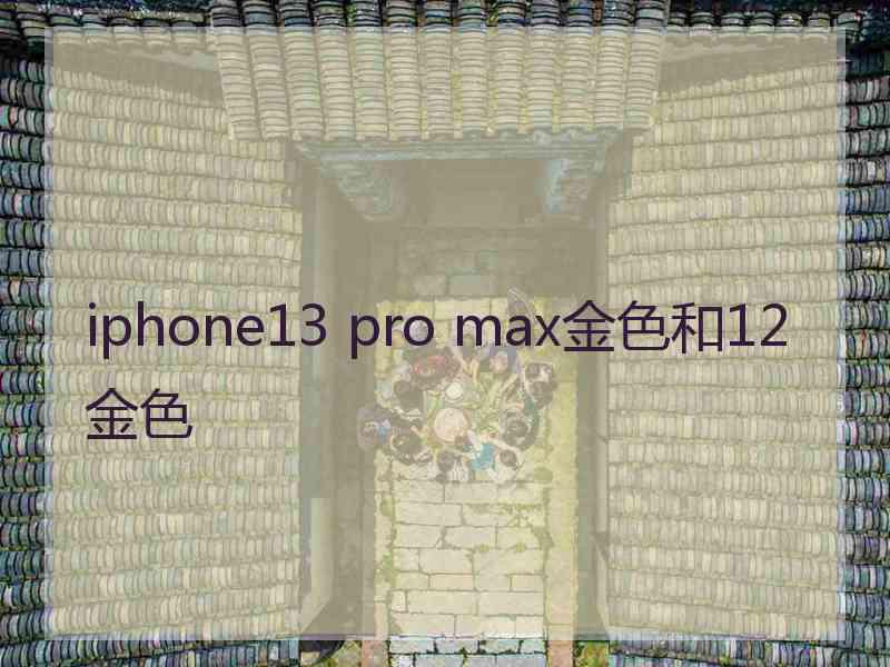 iphone13 pro max金色和12金色