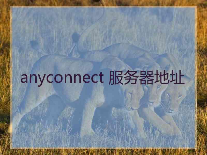 anyconnect 服务器地址