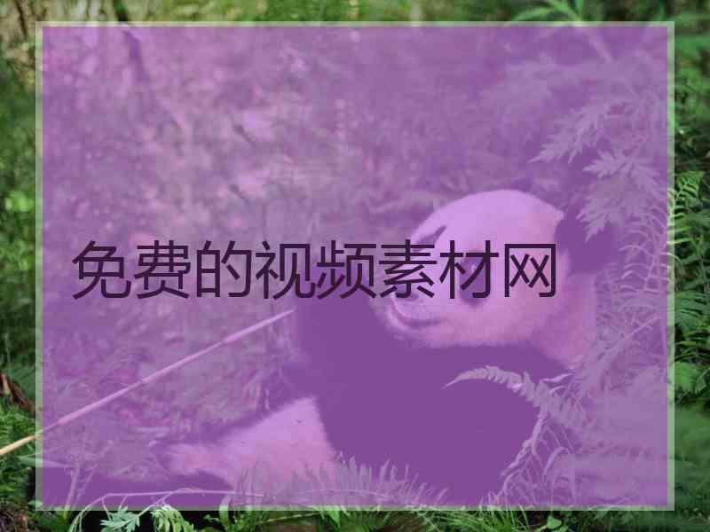 免费的视频素材网