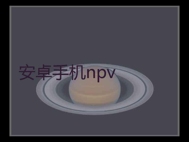 安卓手机npv