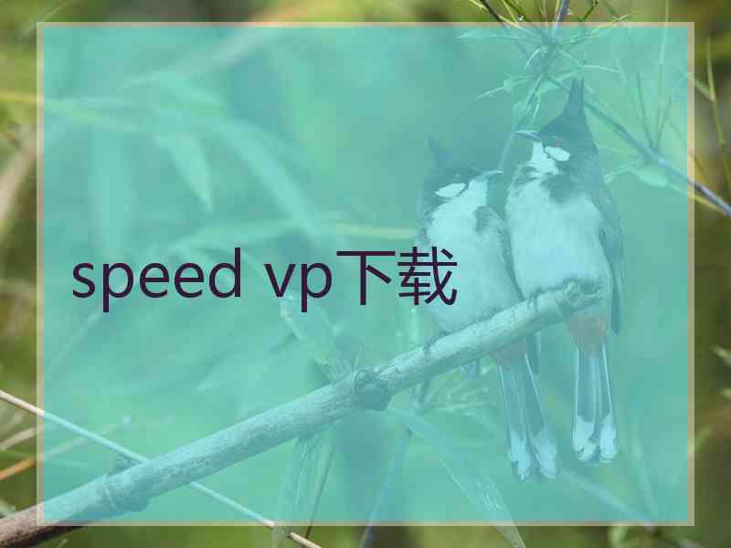 speed vp下载