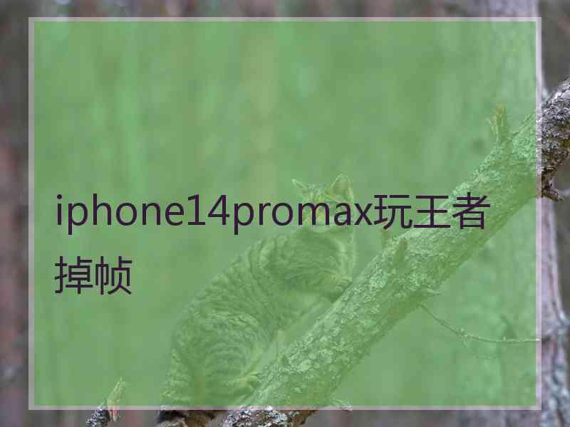 iphone14promax玩王者掉帧