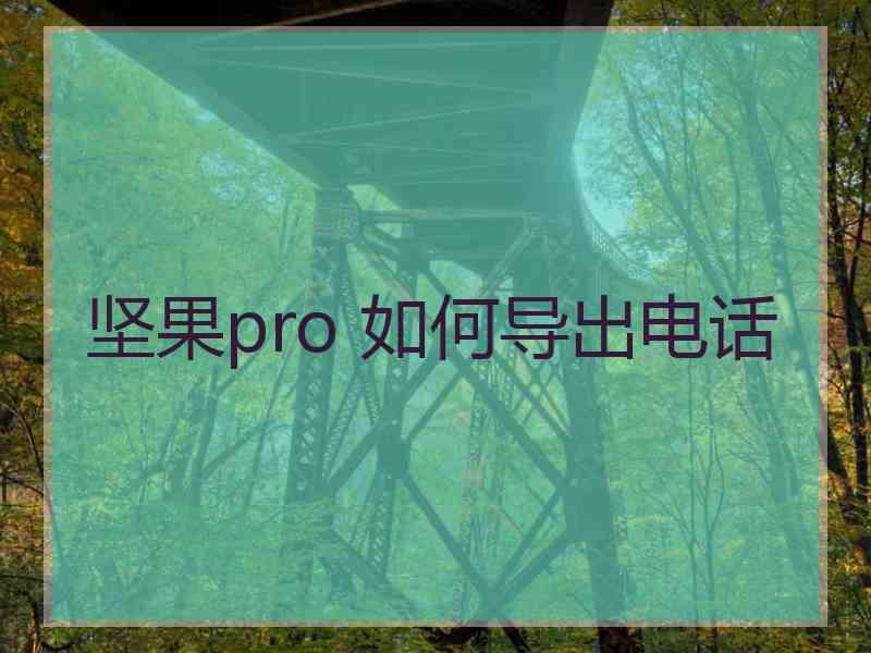 坚果pro 如何导出电话