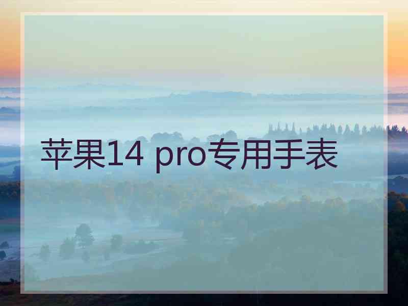 苹果14 pro专用手表