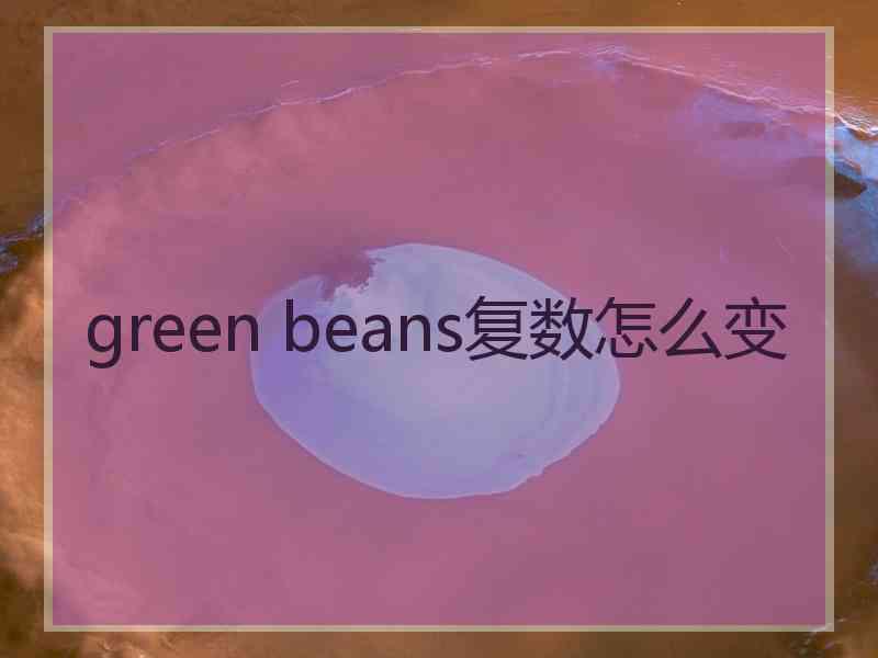 green beans复数怎么变