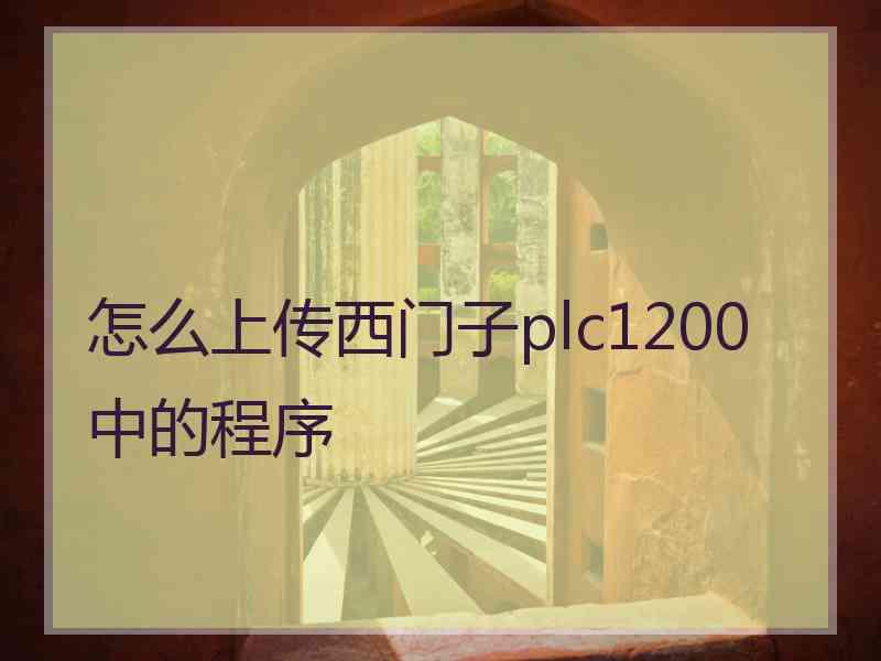 怎么上传西门子plc1200中的程序