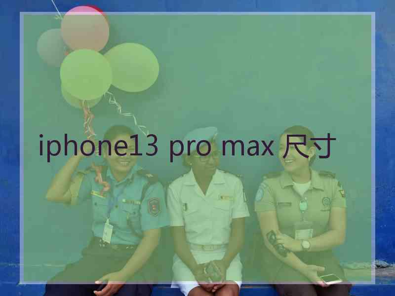 iphone13 pro max 尺寸