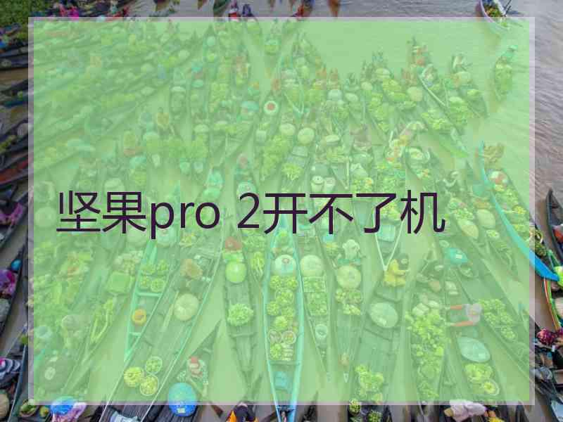 坚果pro 2开不了机