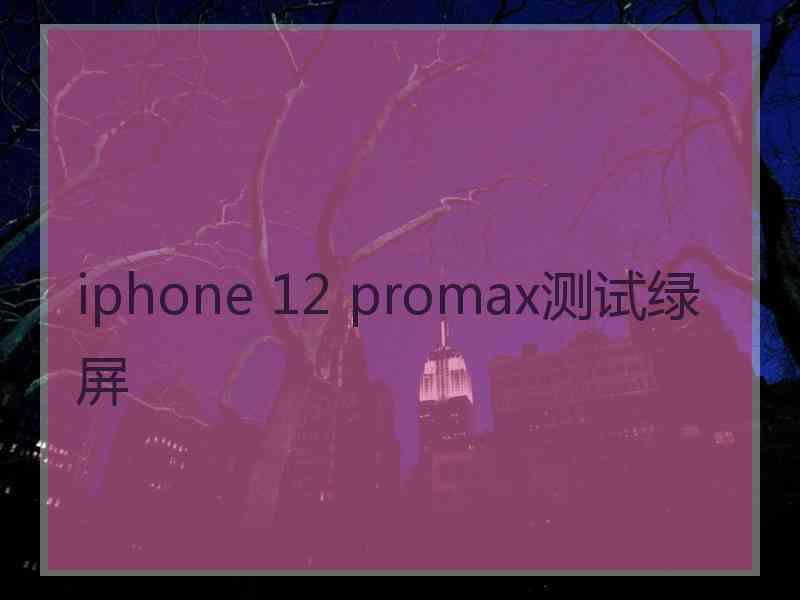 iphone 12 promax测试绿屏