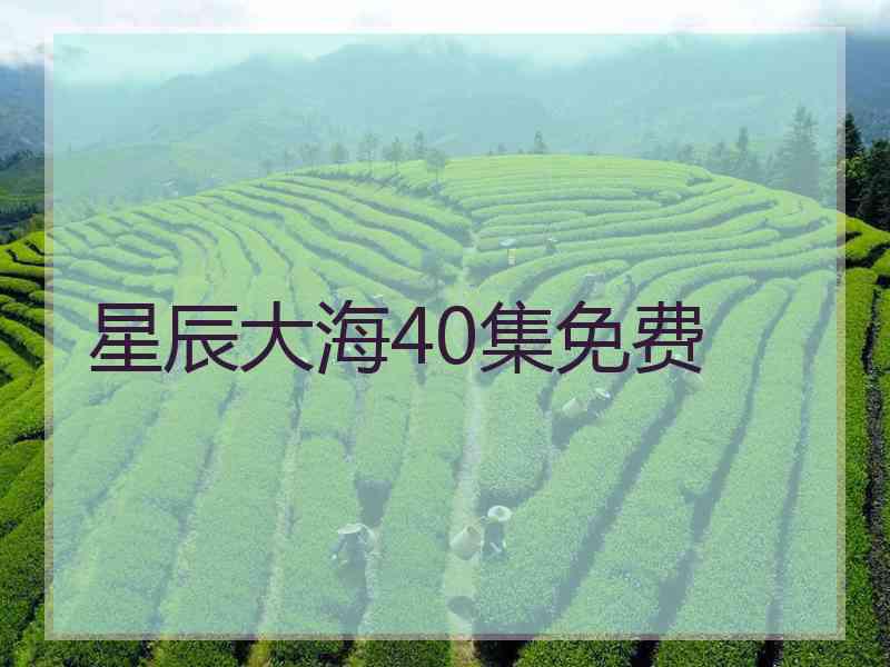 星辰大海40集免费