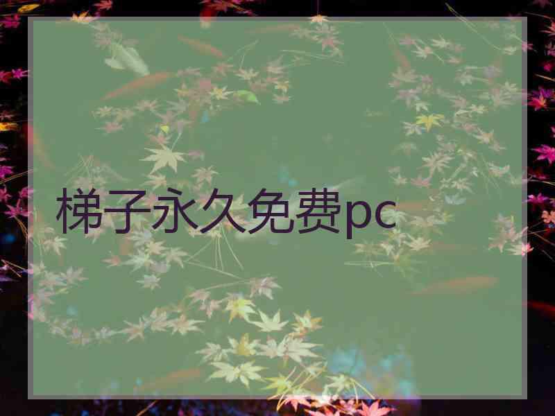 梯子永久免费pc