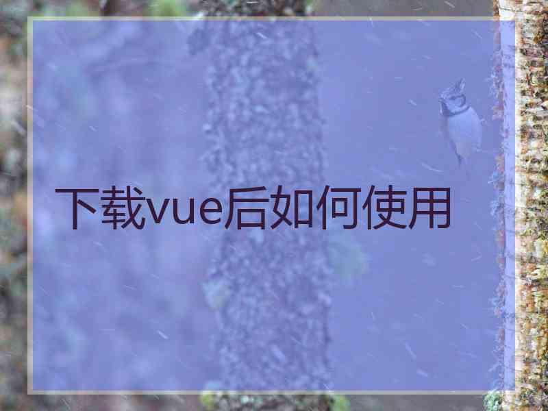 下载vue后如何使用