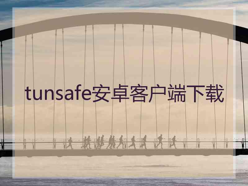 tunsafe安卓客户端下载