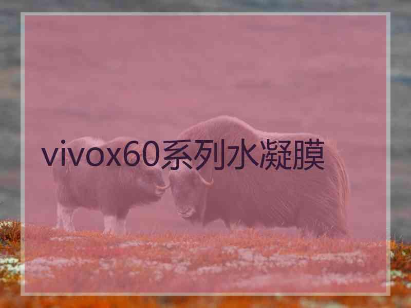 vivox60系列水凝膜