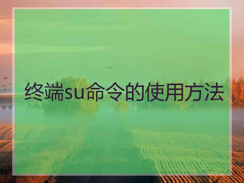 终端su命令的使用方法