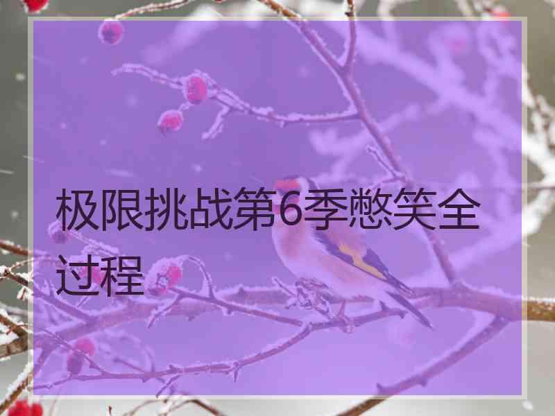 极限挑战第6季憋笑全过程