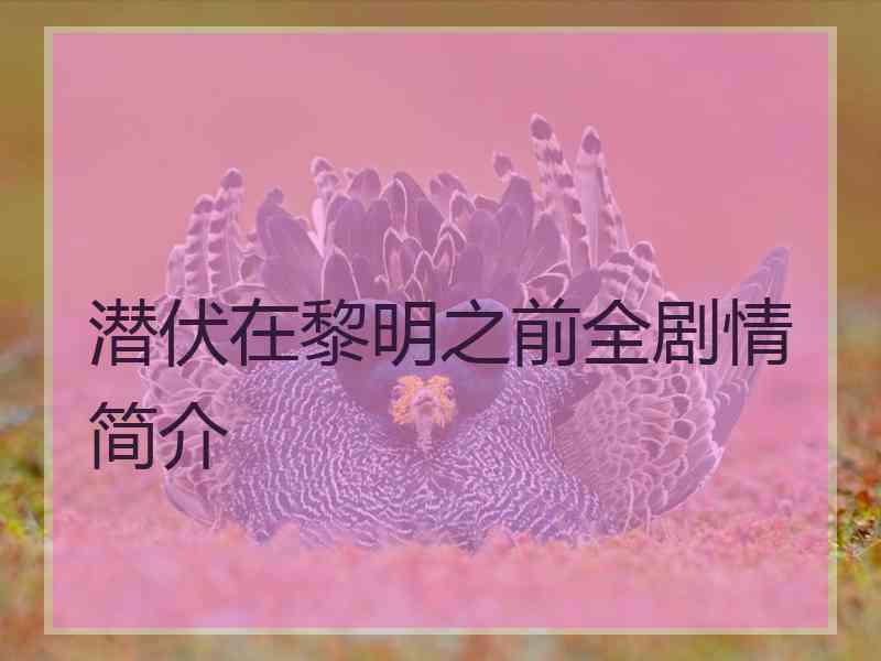 潜伏在黎明之前全剧情简介