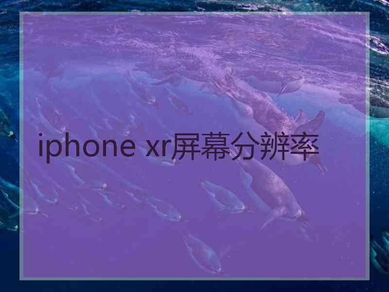 iphone xr屏幕分辨率