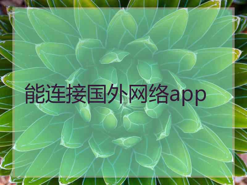 能连接国外网络app