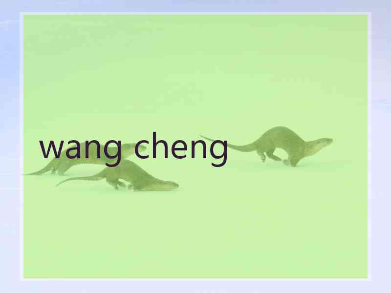 wang cheng