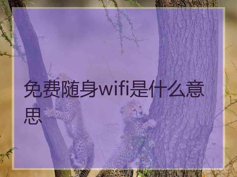 免费随身wifi是什么意思