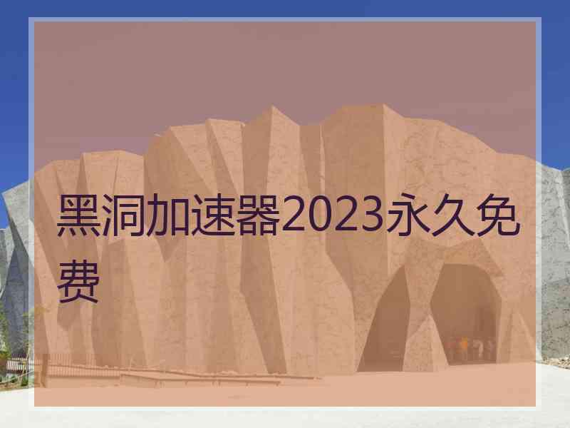 黑洞加速器2023永久免费