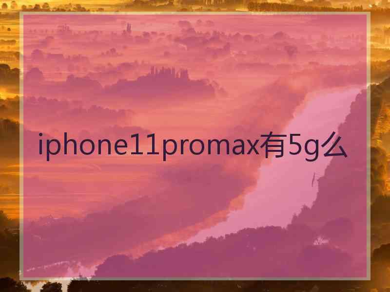 iphone11promax有5g么