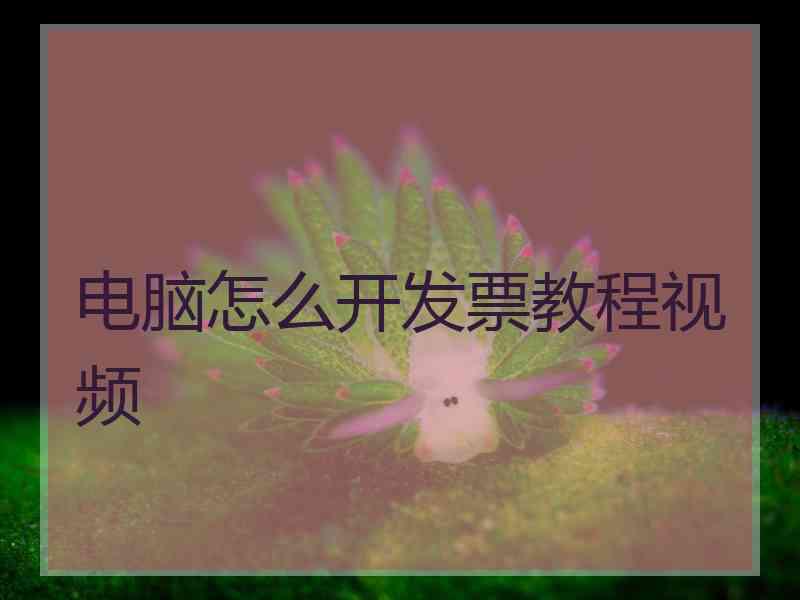 电脑怎么开发票教程视频